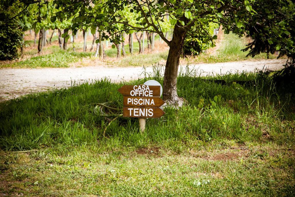 로우사다 Quinta De Lourosa 게스트하우스 외부 사진
