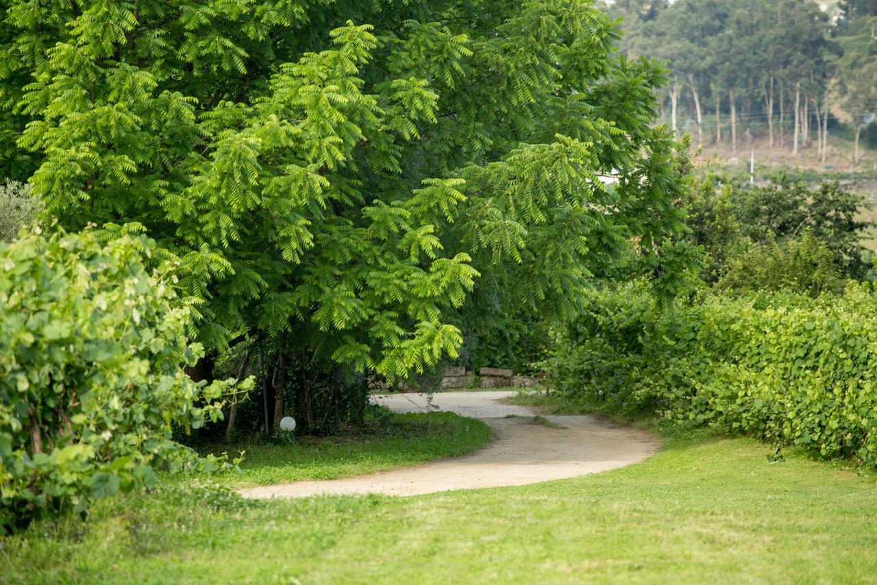 로우사다 Quinta De Lourosa 게스트하우스 외부 사진